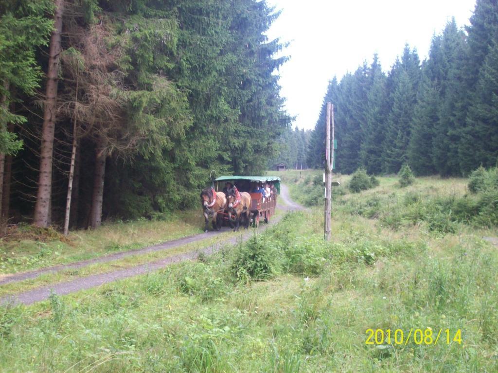 Hotel Burghof Schwarzatal Bilik gambar